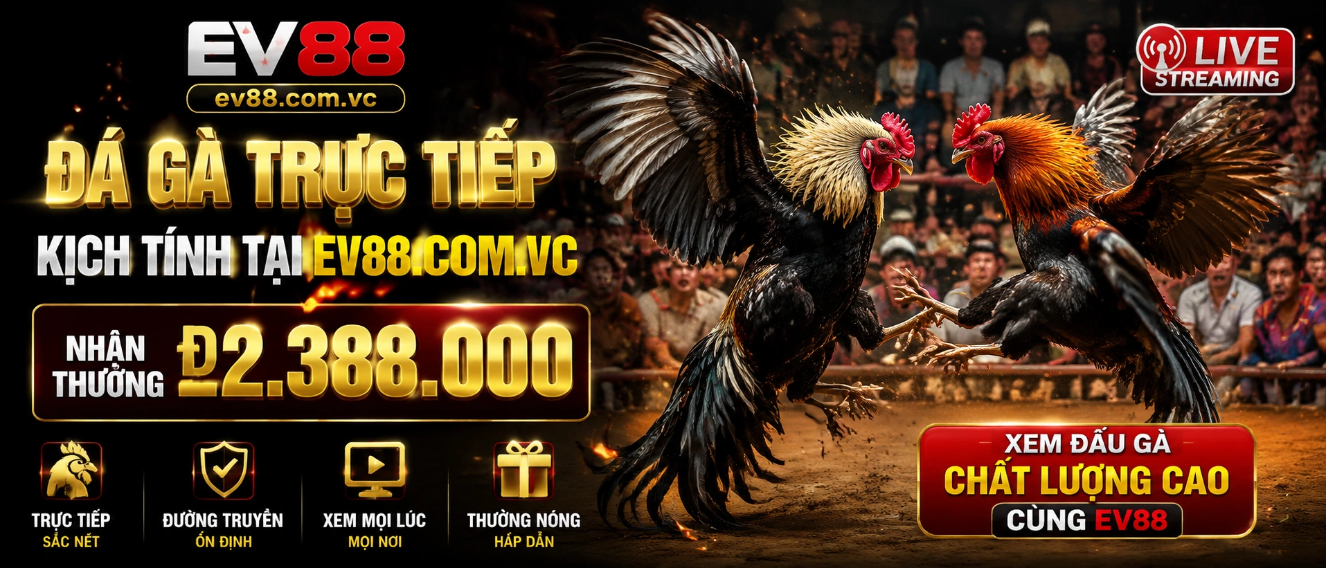Đá Gà EV88 giao diện danh mục live