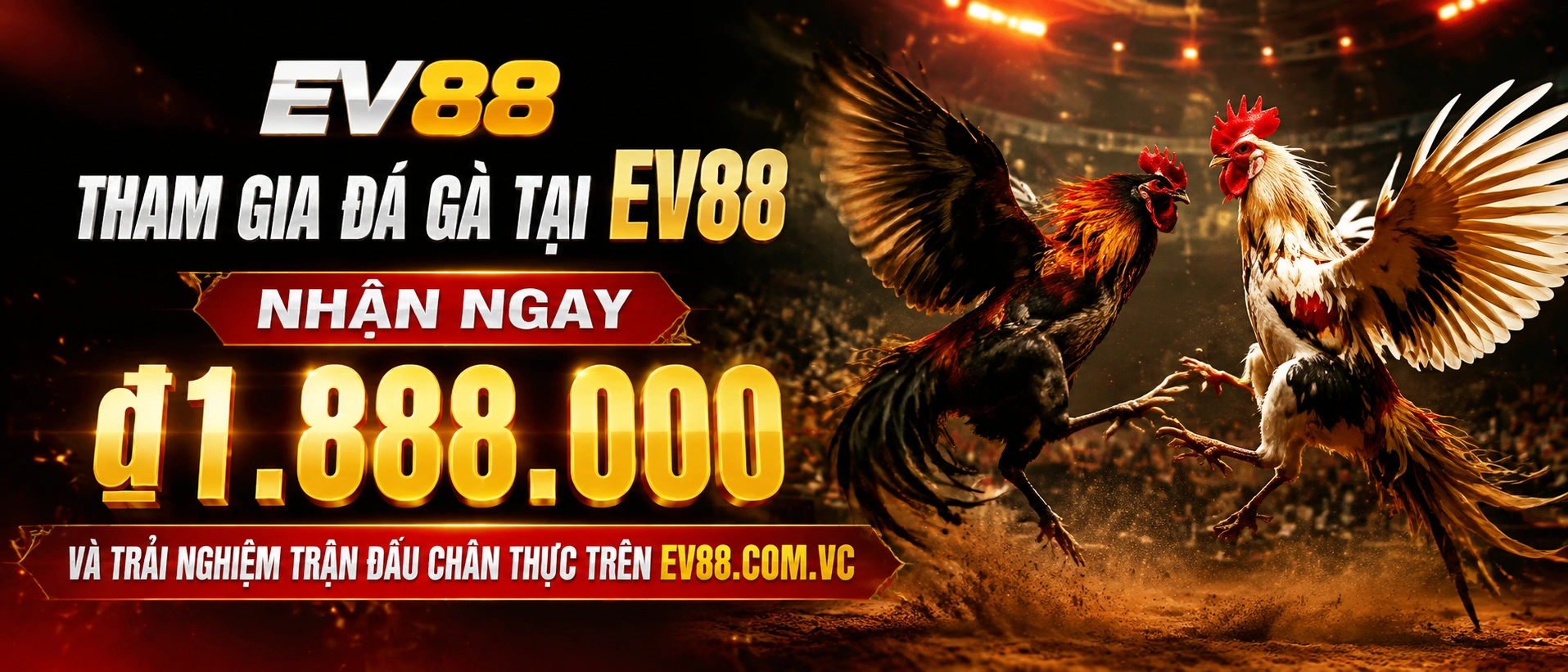 Đá Gà EV88 trải nghiệm xem trên mobile